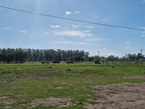 Arbolada de Longchamps. B° Parque. Espora esq Zeballos