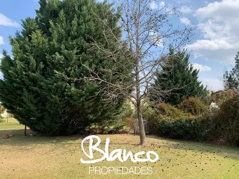 Ayres de Pilar 100