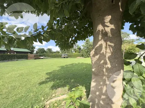 Frente al Mangrullo de Vuelta de Obligado