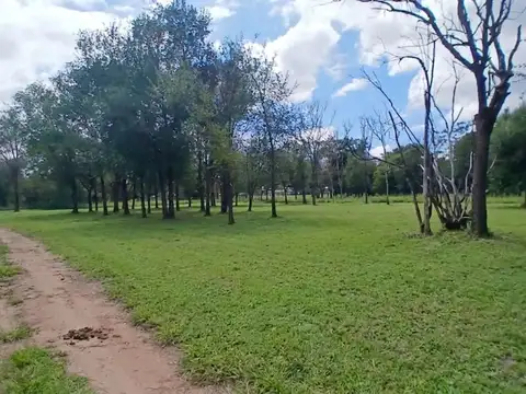 Cerro de Oro