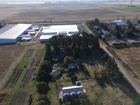 Se vende Galpón c/piso alto tránsito+ 4 silos 60tn