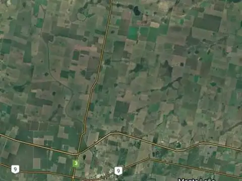 Campo - Estacion Bell Ville