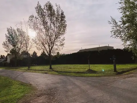 Terreno en Venta de 800,0 m2