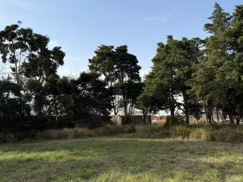 Avenida Rancagua 6000