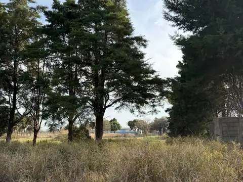 Terreno en Venta de 398,0 m2