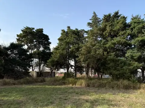 Avenida Rancagua 6000