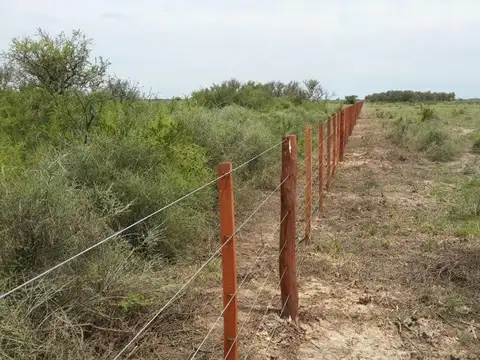 Campo La Rinconada