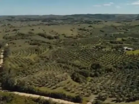 Parque La Tahona Ruta AI 100 100