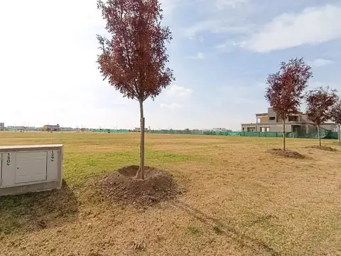 Terreno en Venta 25  mts Frente