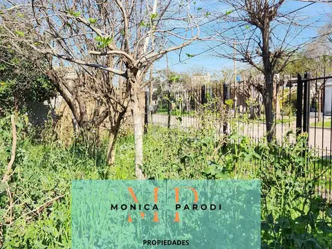 12 de Febrero al 300