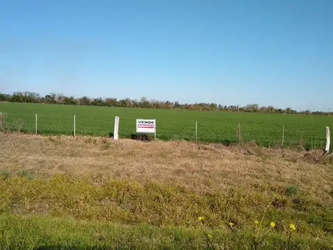 Terreno - Zona Industrial