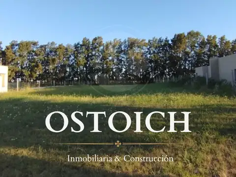 TERRENO EN VENTA - Lucio Mansilla 7000, San Pedro, Bs As