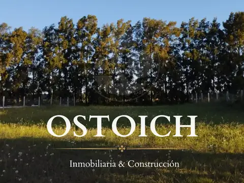 Terreno en Venta 50  mts Fondo