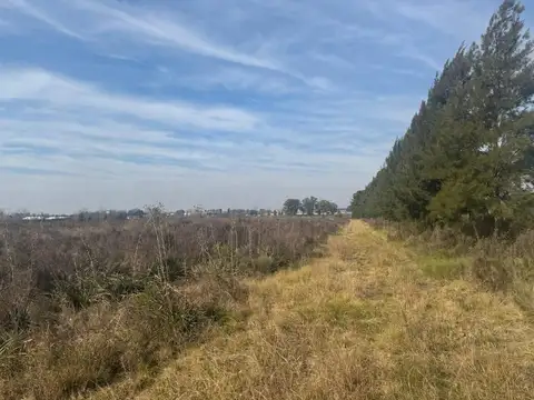 Terreno en Venta de 375,0 m2