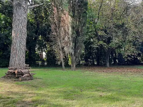 ESQUINA FORESTADA DE 1000M2.