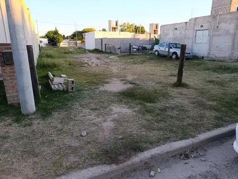 Lote Toledo
