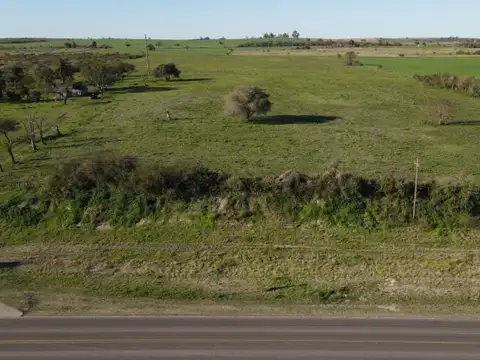 Campo de 2 hectareas sobre Ruta 11 a próximo a Borde Rio! Victoria Entre Rios
