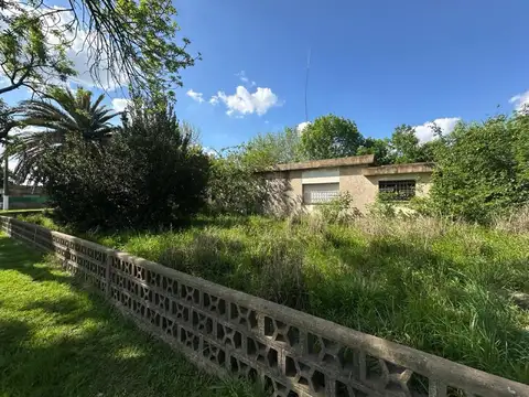 Hipolito Irigoyen y Cap. Pedro Giachino