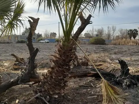 Terreno en Venta de 1723,0 m2