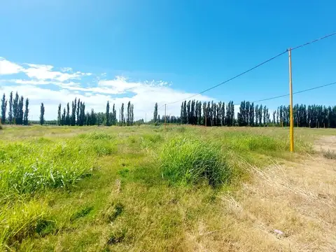 Terreno en Venta de 250,0 m2