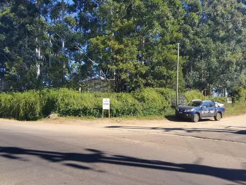 Quinta - Venta - Argentina, Concordia