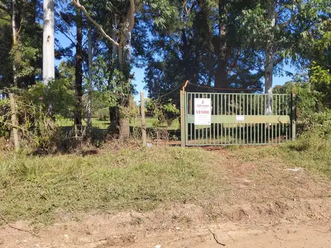 Quinta - Venta - Argentina, Concordia