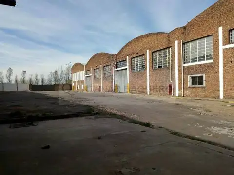 Galpon en Alquiler 25  mts Fondo