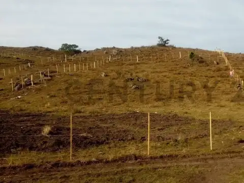Terreno en Venta de 1233,0 m2