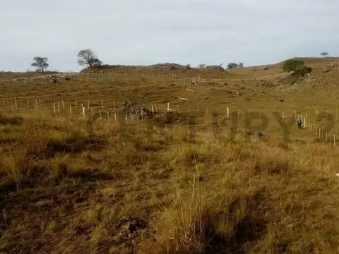 Lote 1233 mts2 en Villa Yacanto