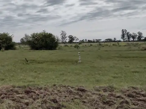 TERRENO EN VENTA DE 1292,5 M2 CAROLINA, CORRIENTES