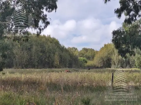 Terreno en Venta de 3,0 m2