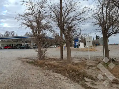 En Venta | 8 Hectaréas | Arroyito | Neuquén