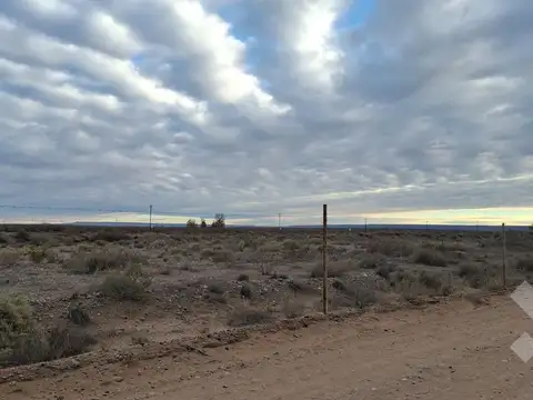 En Venta | 8 Hectaréas | Arroyito | Neuquén