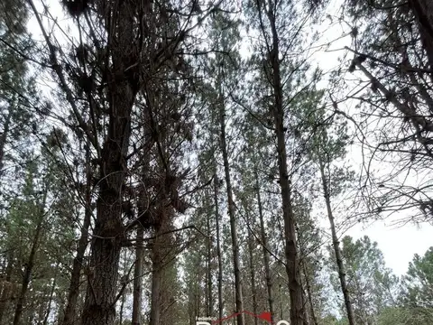 Terreno con excelente ubicacción