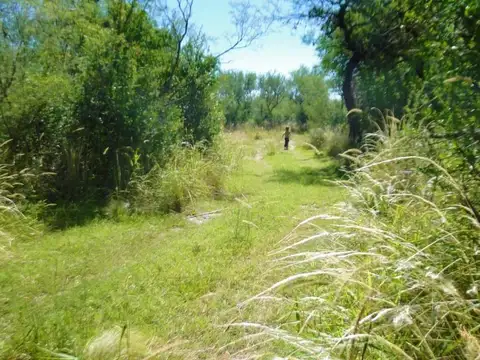 9.000m2 en Yacanto-San Javier