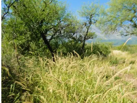 Terreno en Venta de 9000,0 m2