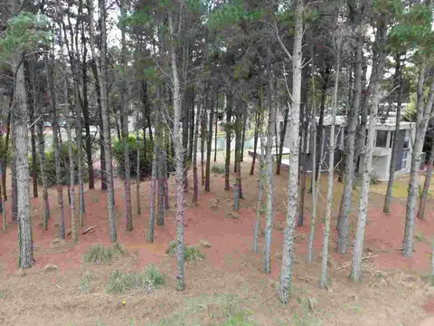 Terreno en Venta de 1288,0 m2