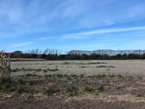 VENTA - 6.3 HECTÁREAS EN COLONIA CAROYA