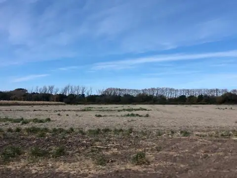 Quinta en Venta 2024 años