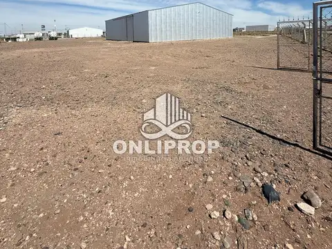 ONLIPROP