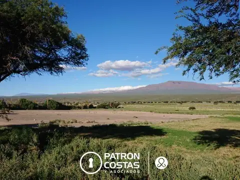 Chacra en venta en Molinos Valles Calchaquies