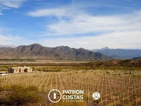 Chacra en venta en Molinos Valles Calchaquies