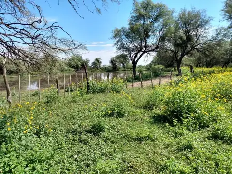 Campo Ganadero en venta zona Lafinur, San Luis