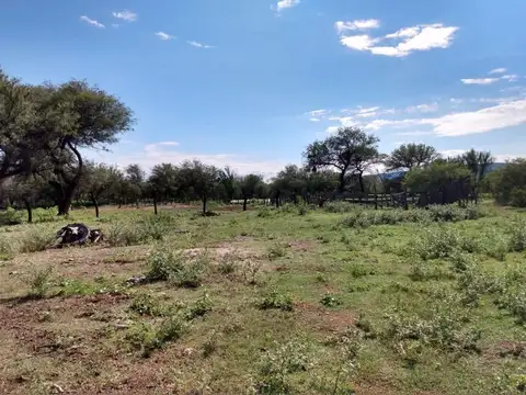Campo Ganadero en venta zona Lafinur, San Luis