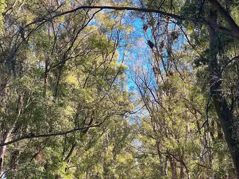 Terreno en venta en Chacras de San Andres