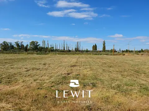 Terreno en Venta en Centenario, USD 35.500