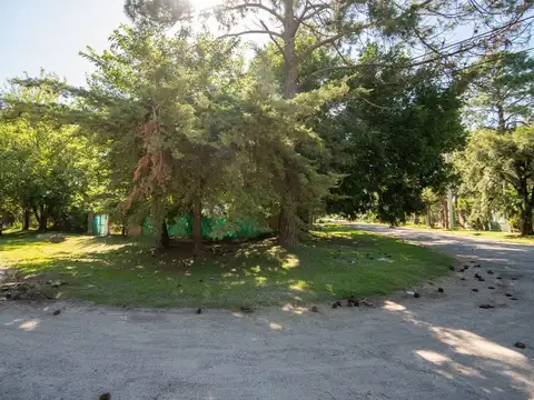 Casa en AlquileFrente al Balneario Don Roque Sauce