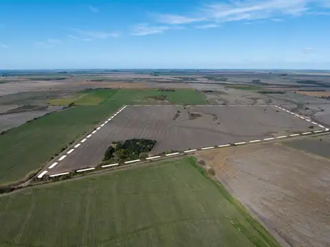 Campo en Venta de 37  ha