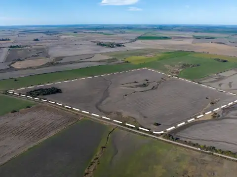 37 Hectáreas A 5 Km De Hernandez