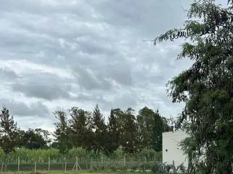 LA RESERVA DE HUSDON 100